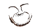 [de4f81] Base Beard