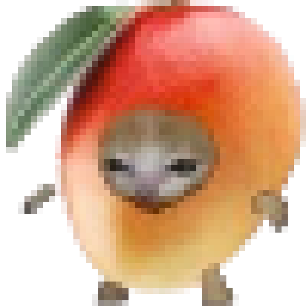 [f943f0] mangoc