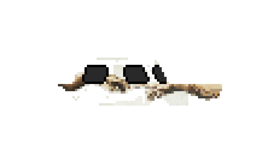 [e5bdee] Untitled