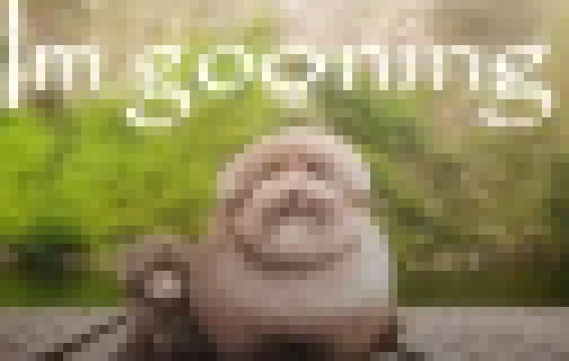 [0996de] quick question Jimmy, are we on a music site or a art site