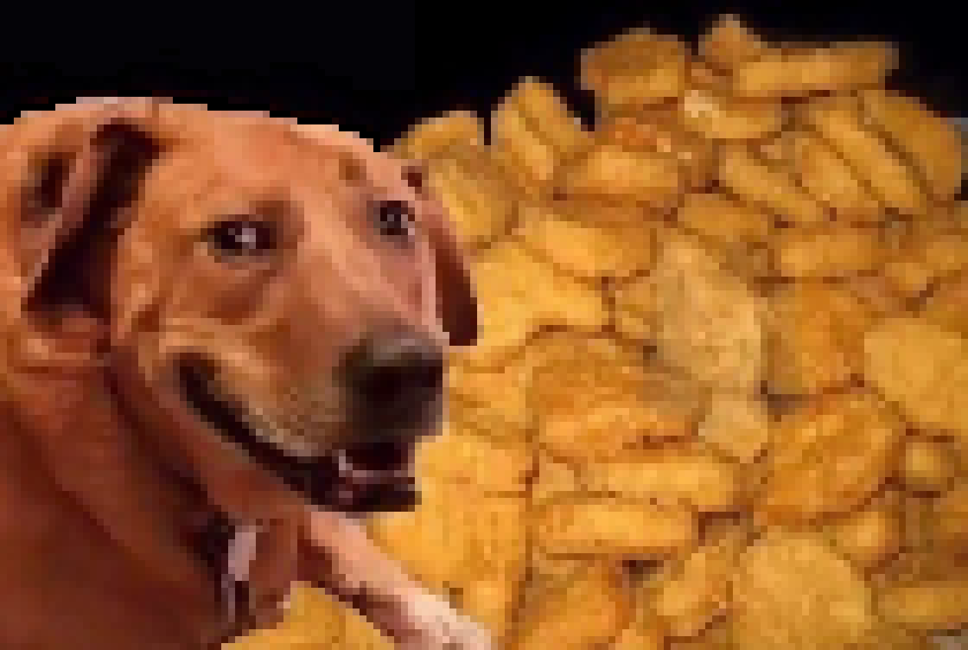 [46bd03] (nuggets.)