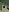 [9b4297] Untitled