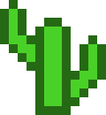 [9664c4] cactus_s