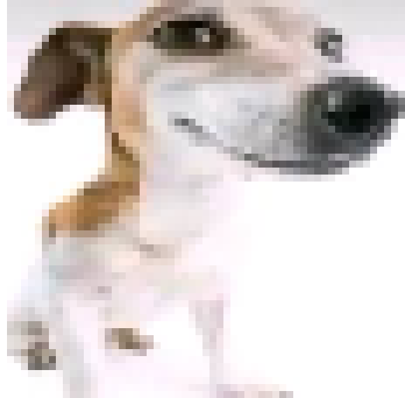 [6ee420] Goofy ahh dog
