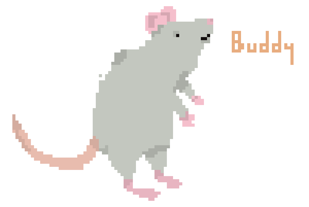 [9664c4] rat friend