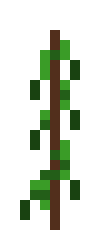 [c282f2] Pea-front