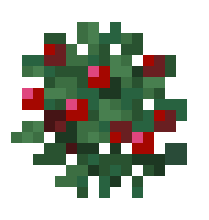 [e99152] berry 4
