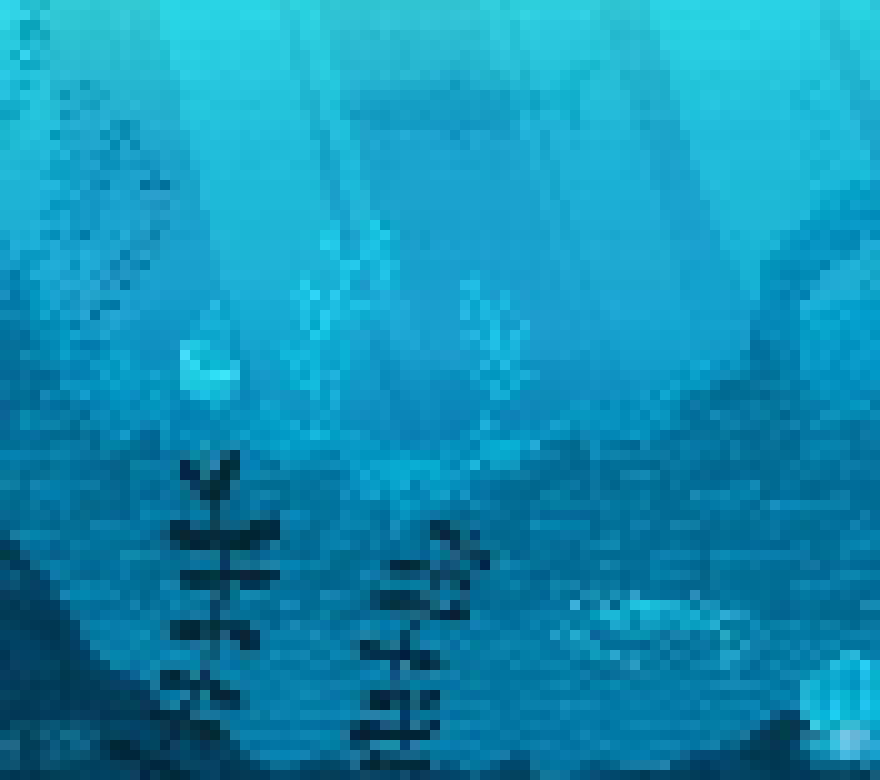 [56818a] sea with shark