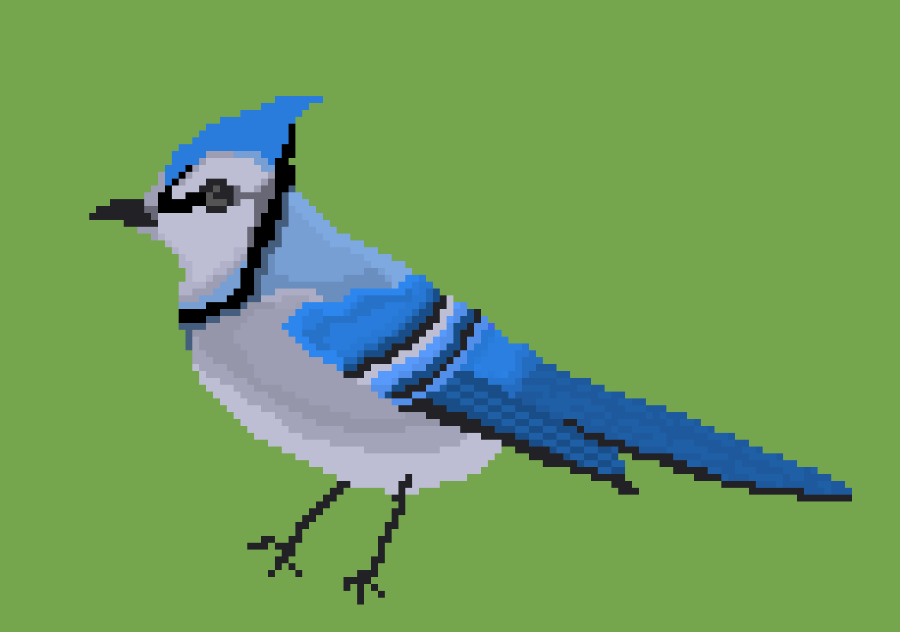 [9664c4] Blue jay