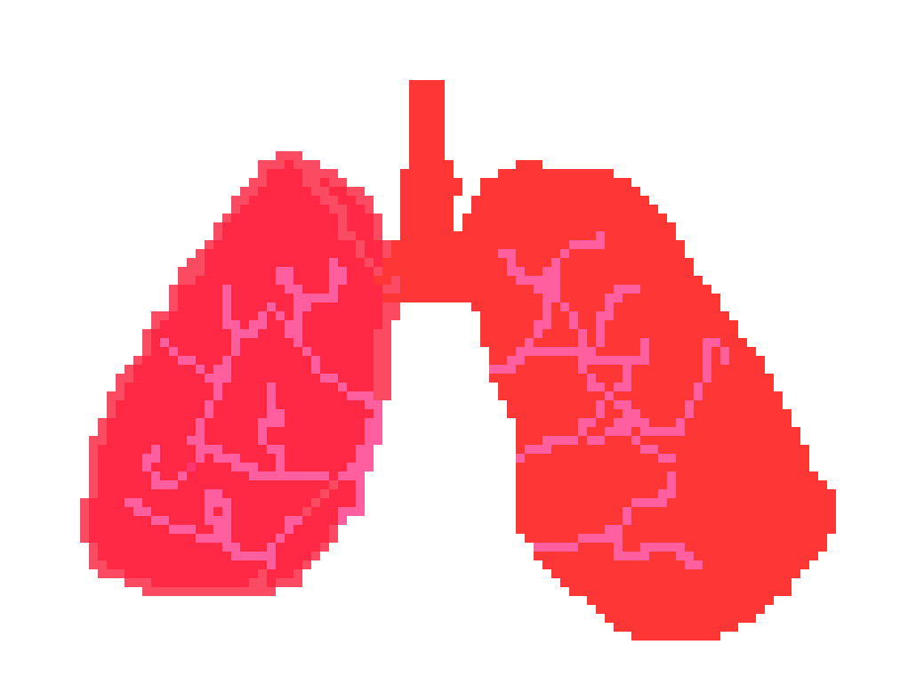 [2b4978] lungs-Ethan Park 5D