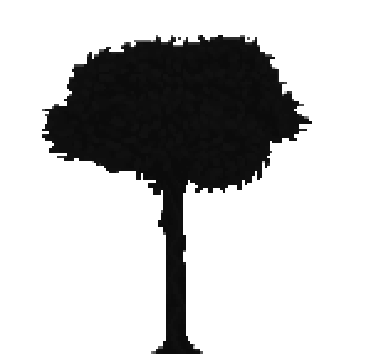 [77a495] lemon2222222