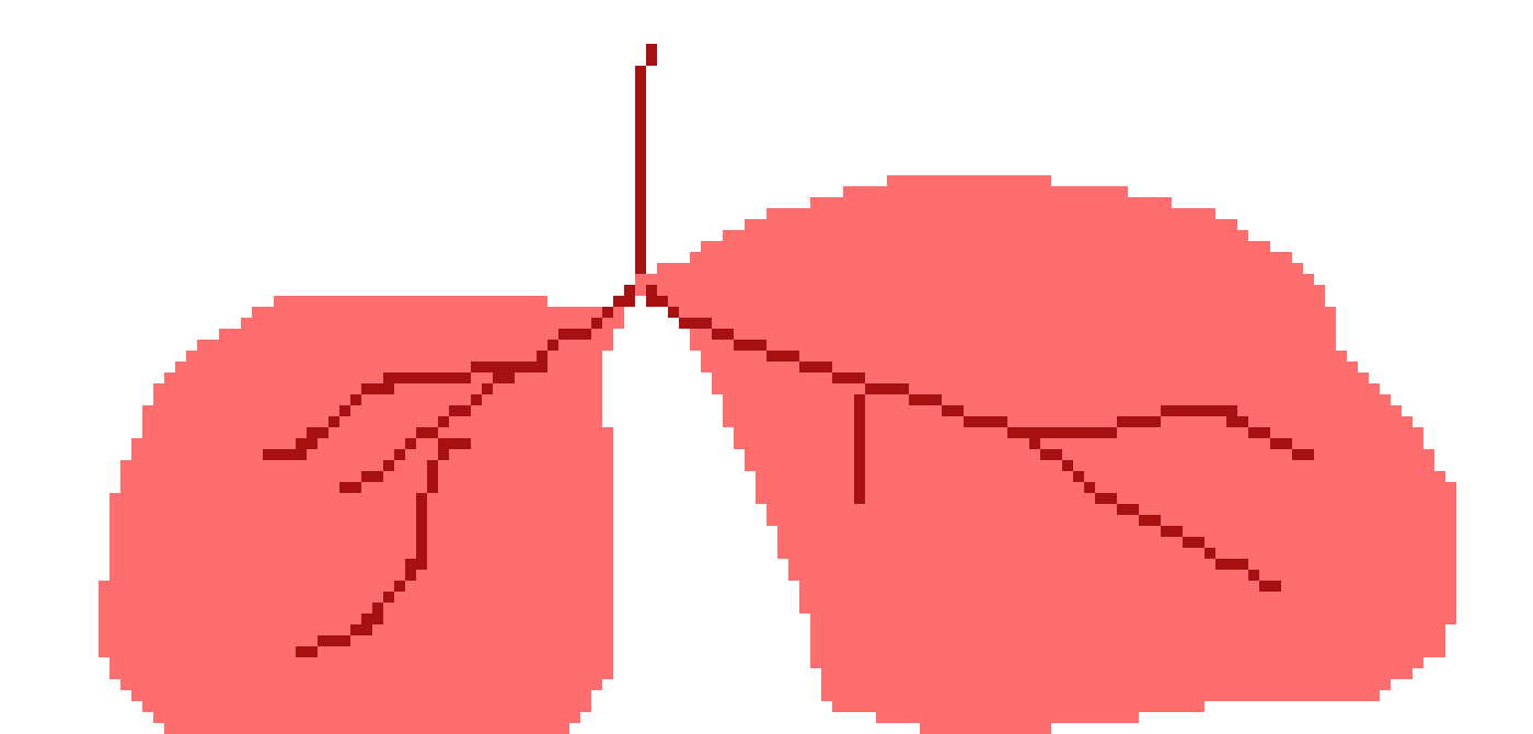 [401978] PIXEL LUNGS