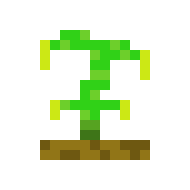 [9664c4] Lil weed 