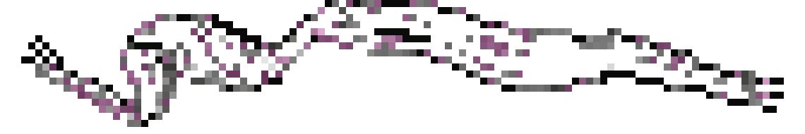[873388] Echarpe