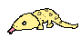 [f29ba2] DuncadBetaSprite1png