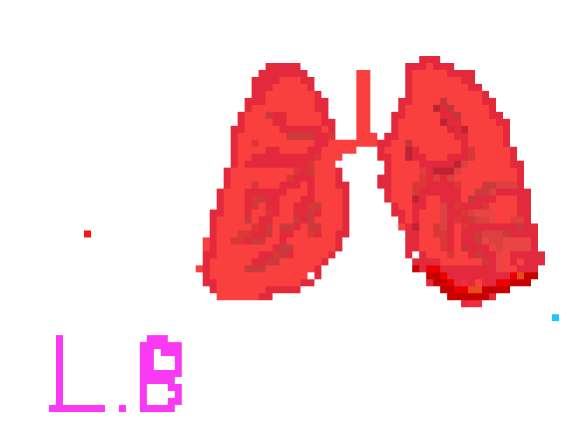 [2b4978] Lungs pixel 