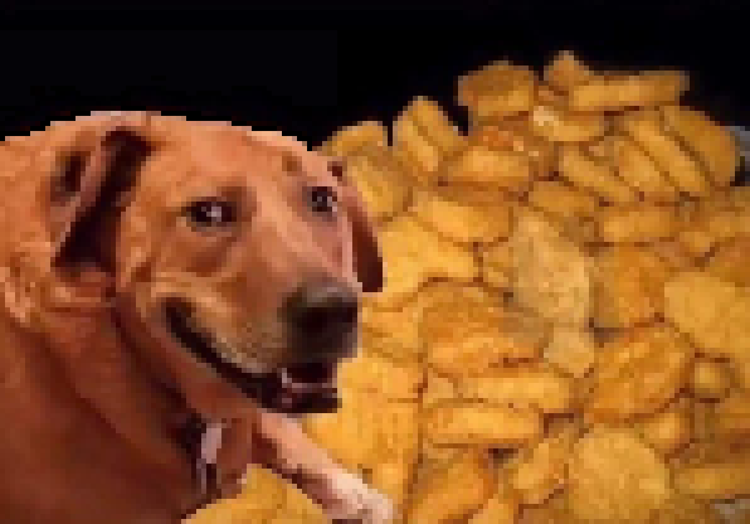 [46bd03] (nuggets.)