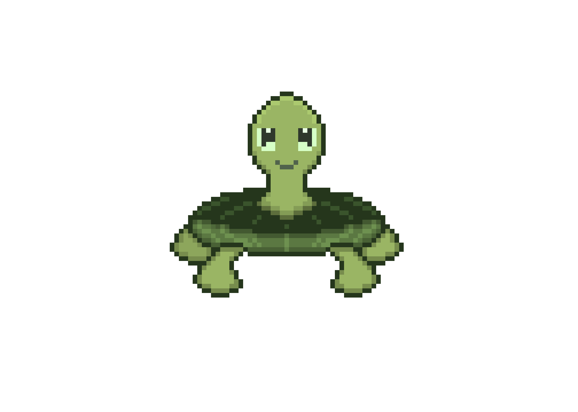 [9664c4] Turtle