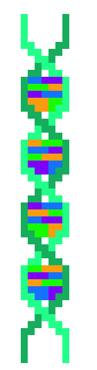 [62d87a] DNA