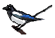 [08b69f] 2nd