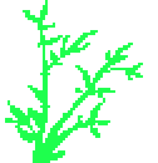 [9664c4] bamboo