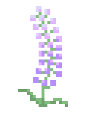 Lavender