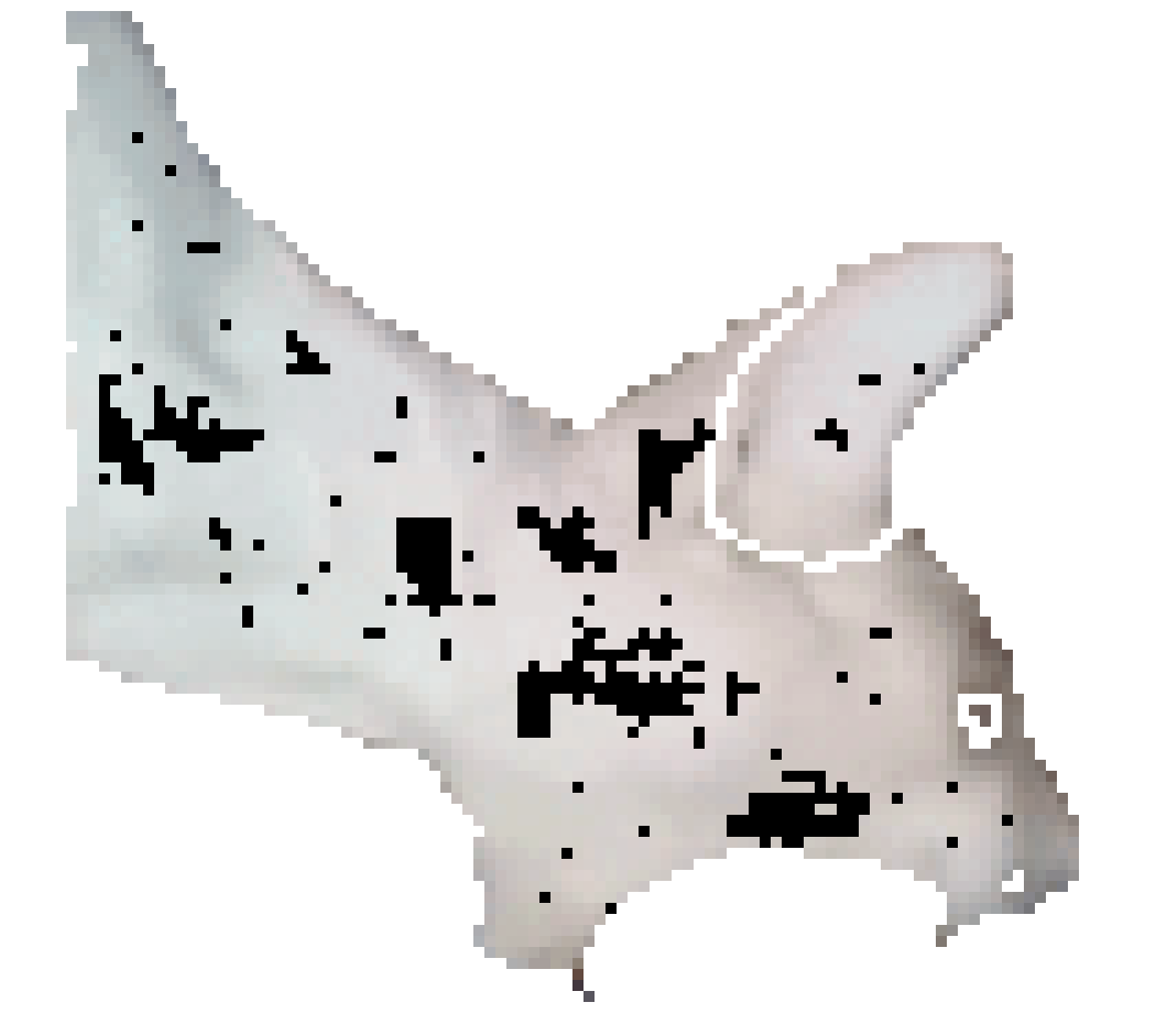 [7a641d] CHOMP frame1