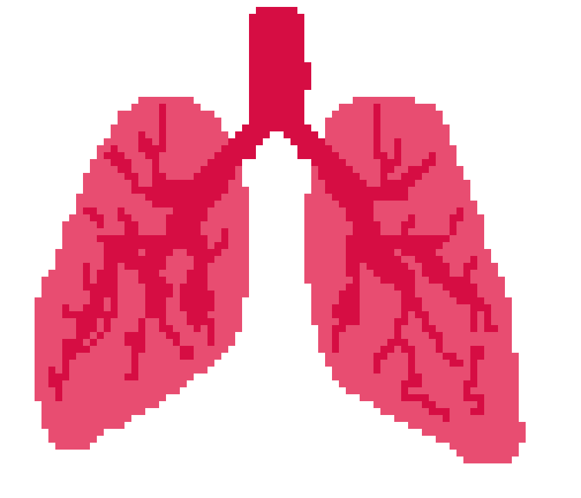 [2b4978] Lungs-Xiyan
