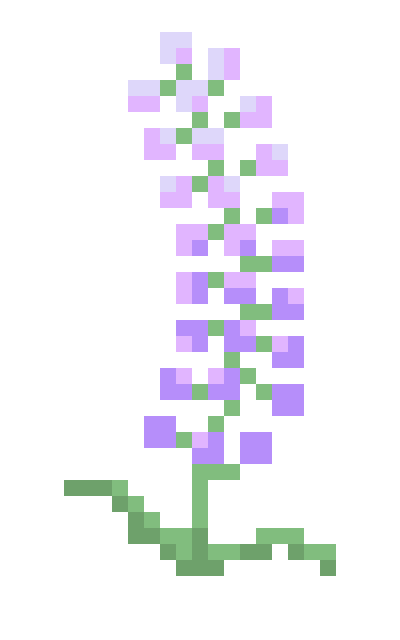 [57e09a] Lavender