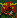 [15fe2a] textpixel
