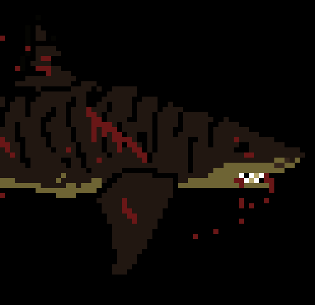 [013076] -[ The giga tiger shark [9m] grabs the worm thingy and starts thrashing it around really quickly]-