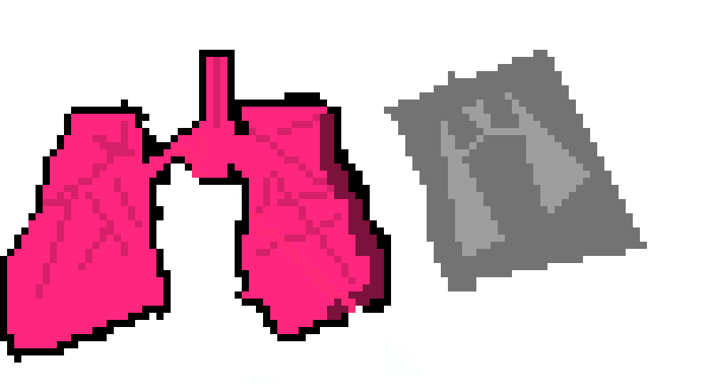 [0cac1d] The lung