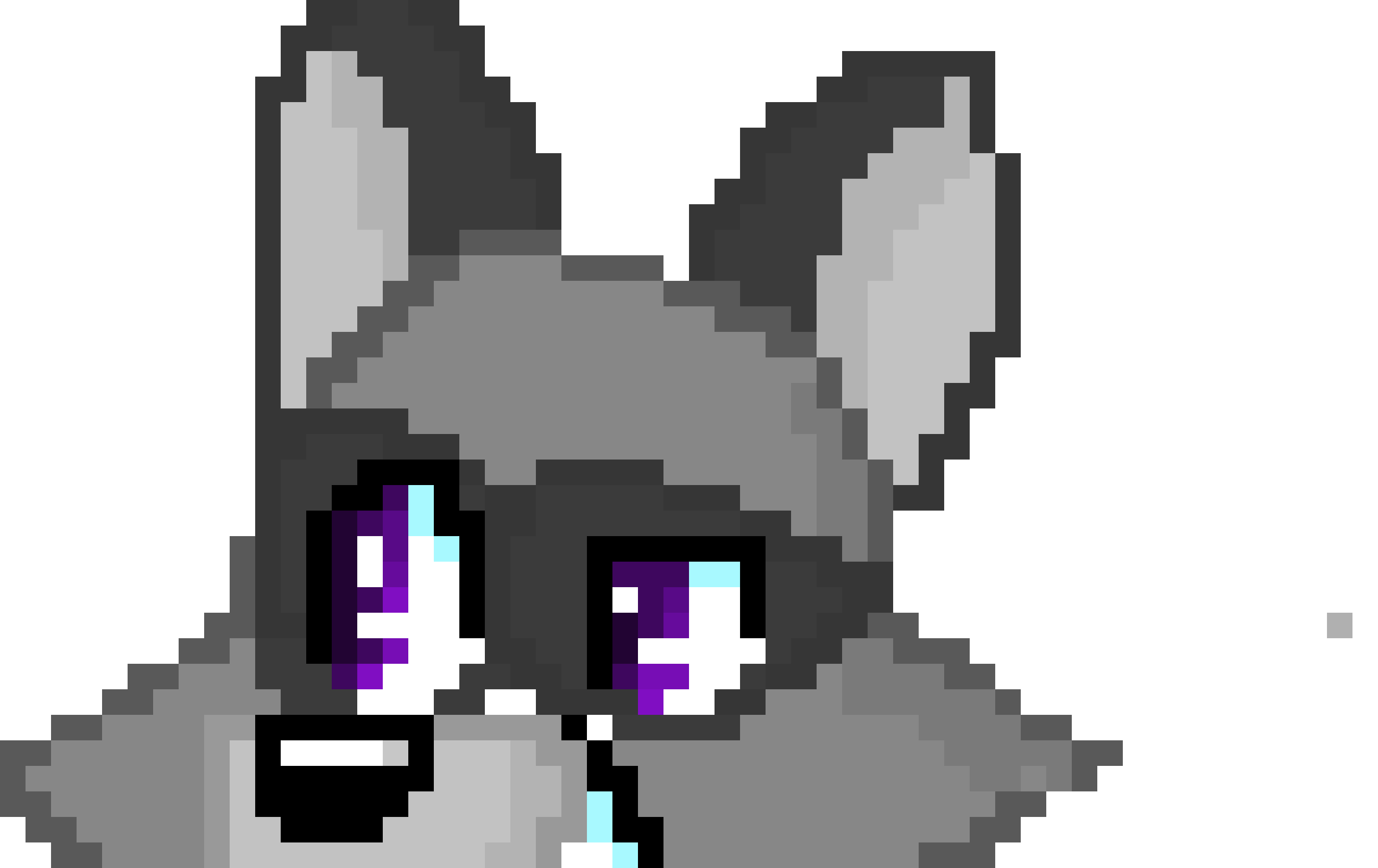 [9664c4] danny the raccoon