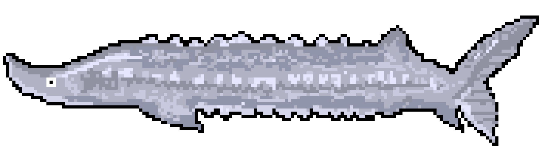 [650301] Sturgeon