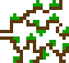 [471c8e] Ronce
