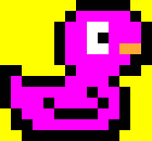 [157c55] right duck