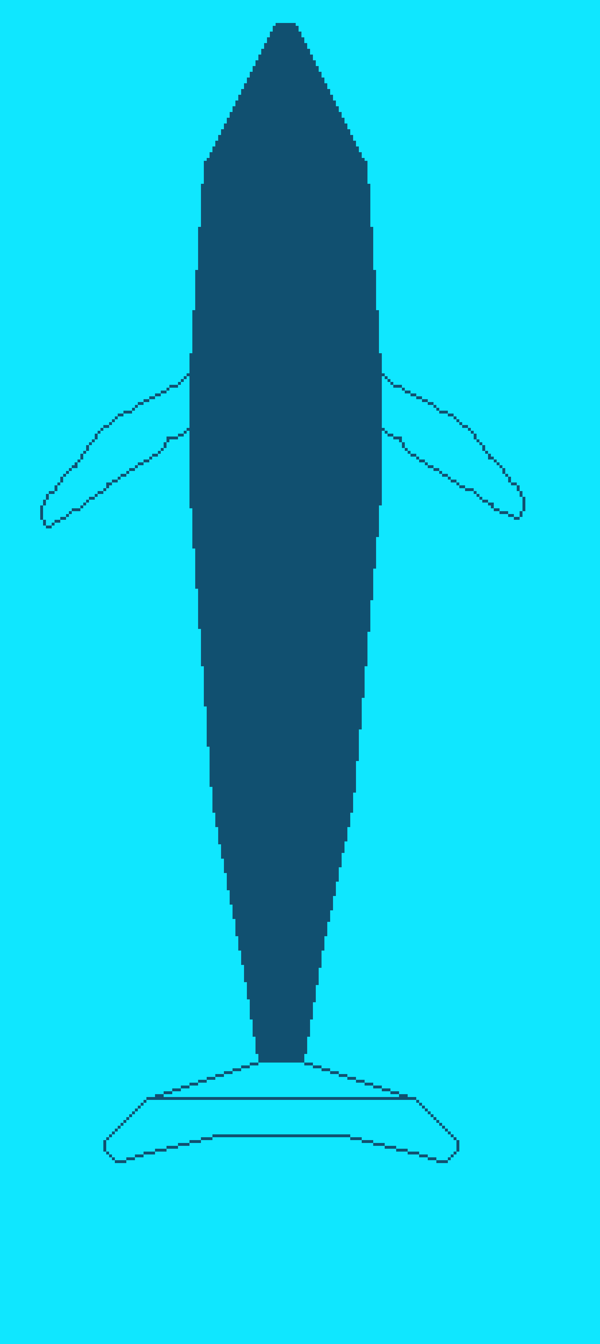 whale skateboard