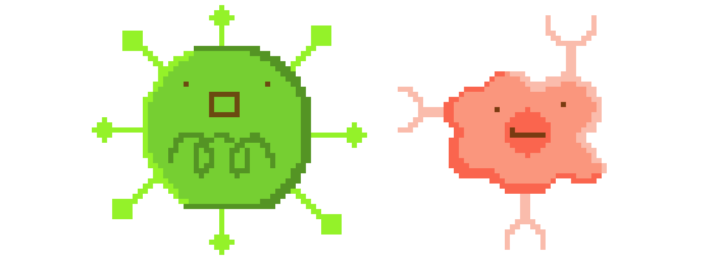 [33e540]  B-cell and virus