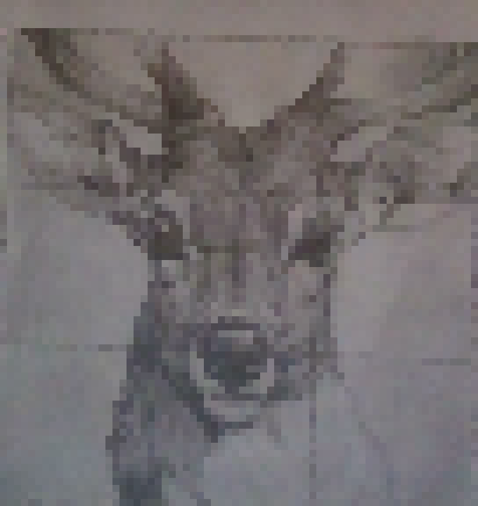 [0f3a7f] I drew a dear