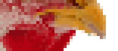 *desc updat*