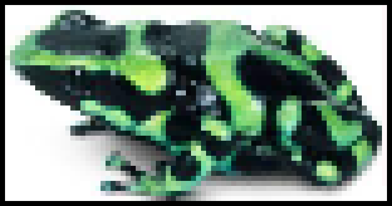 [8374d2] frog