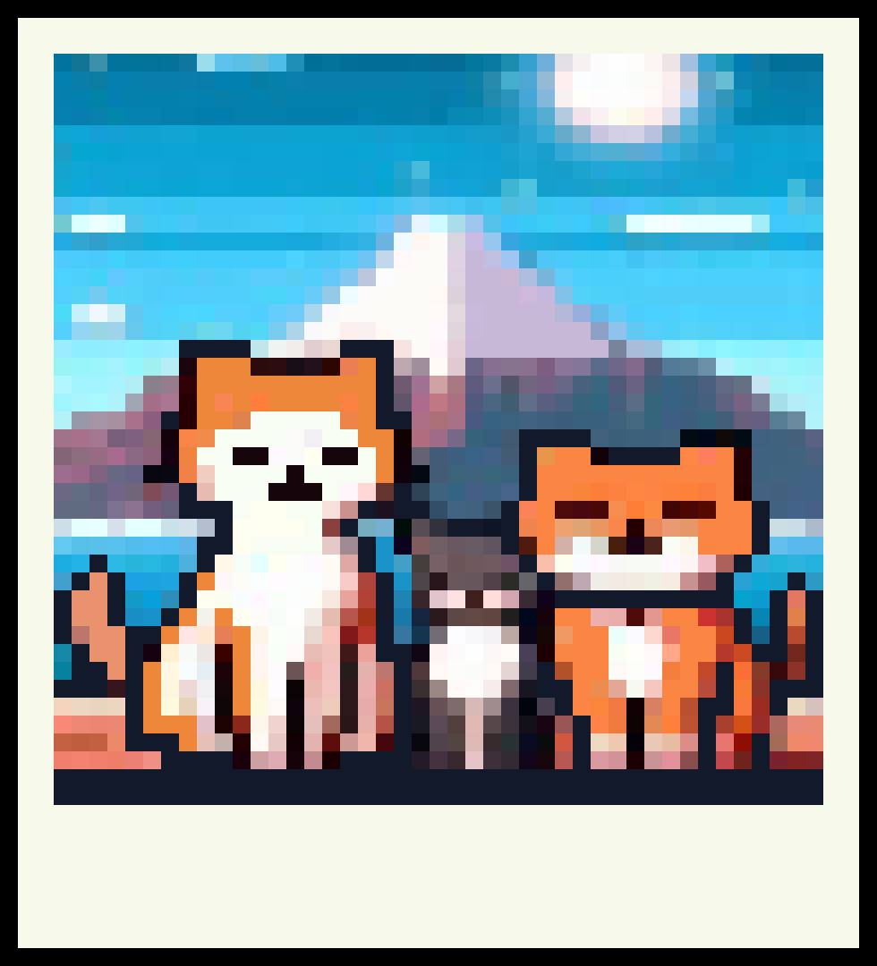 [cfe89f] PolaroidSample4