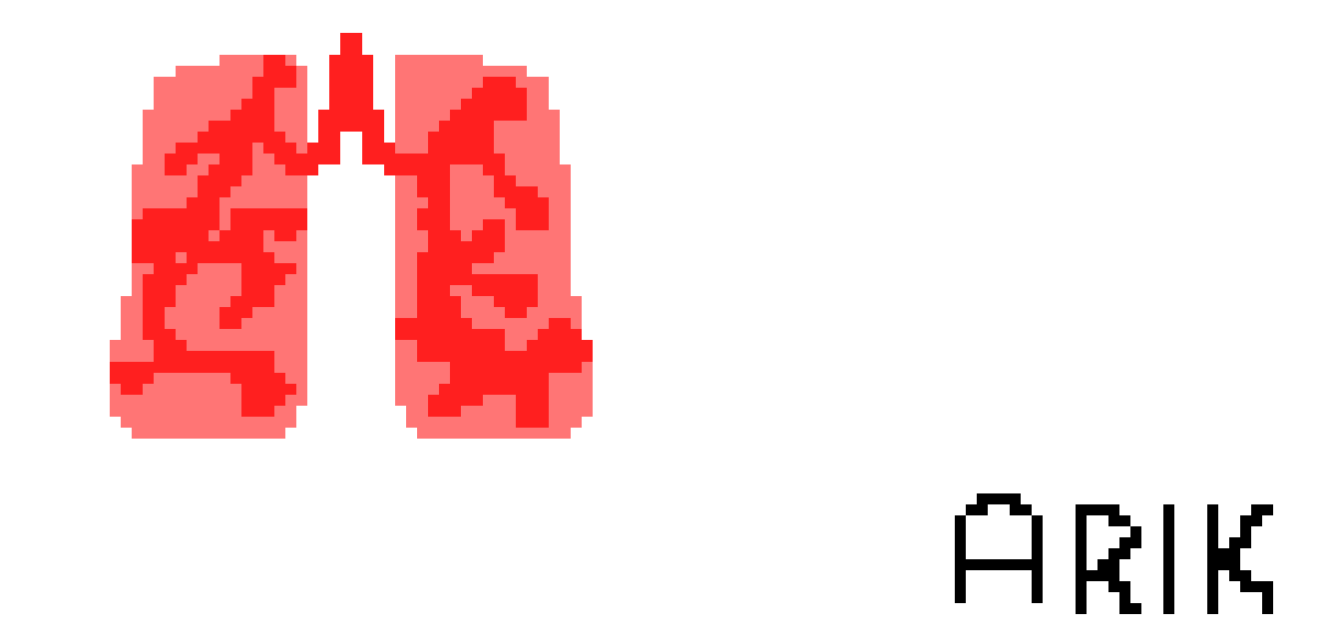 [2b4978] Pixel Lungs