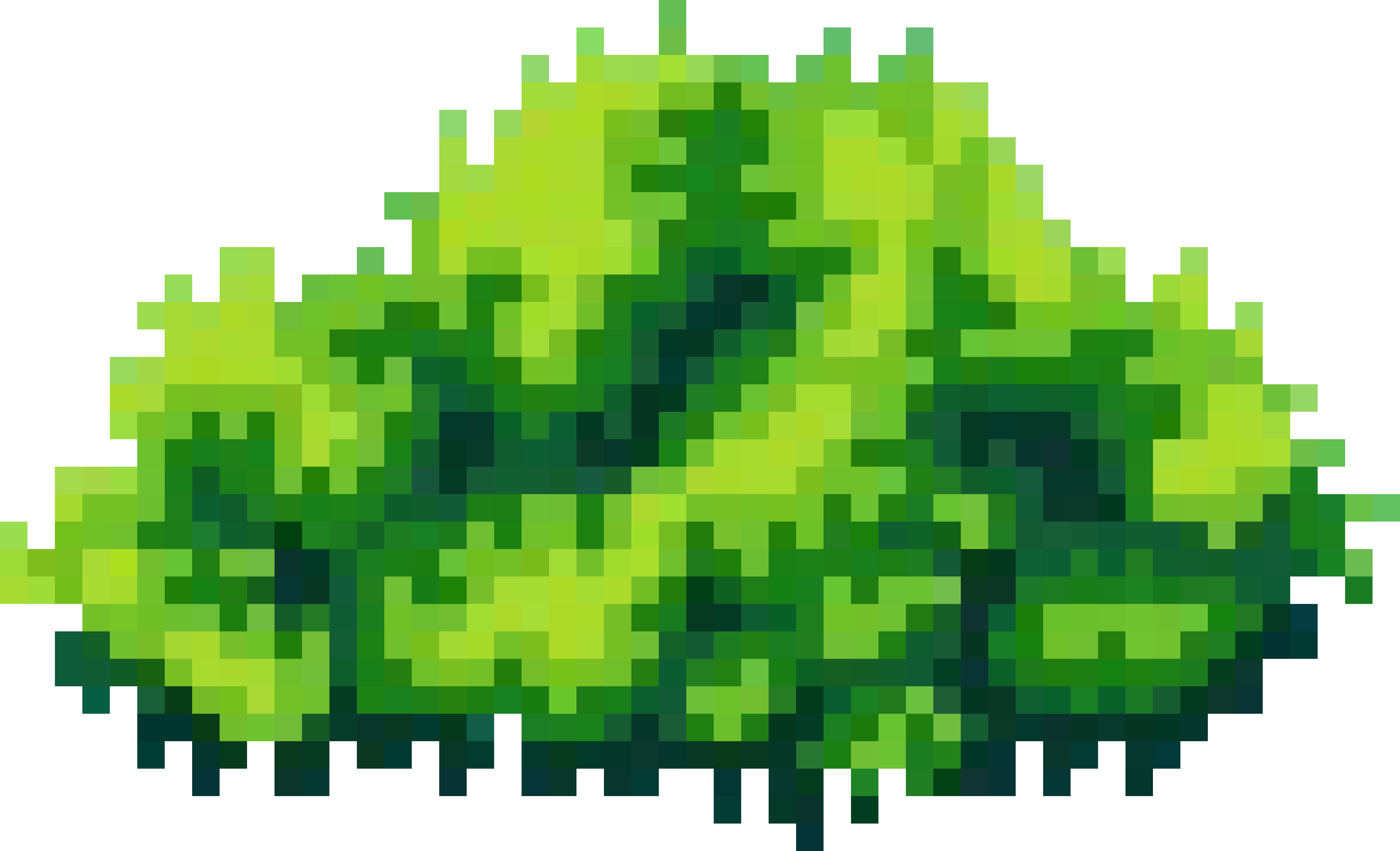 [f8c6a3] bush