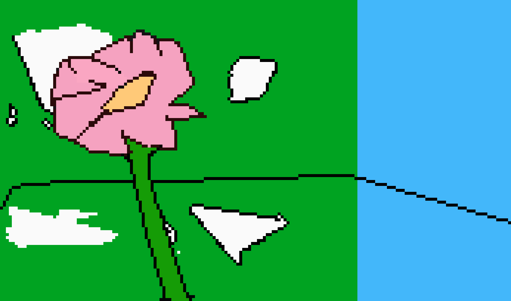 [037f2f] flower in the daylight