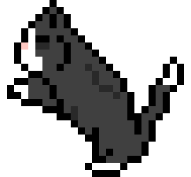 [9664c4] cat_anim_four