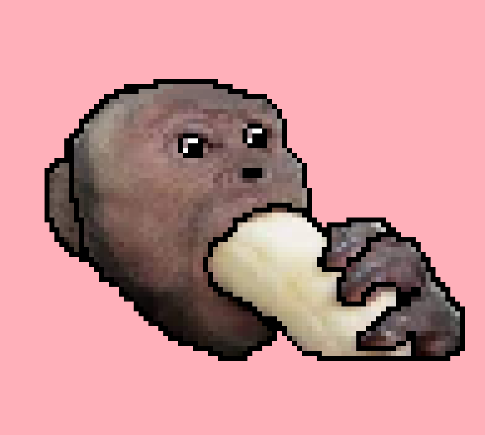 [beb555] monkey