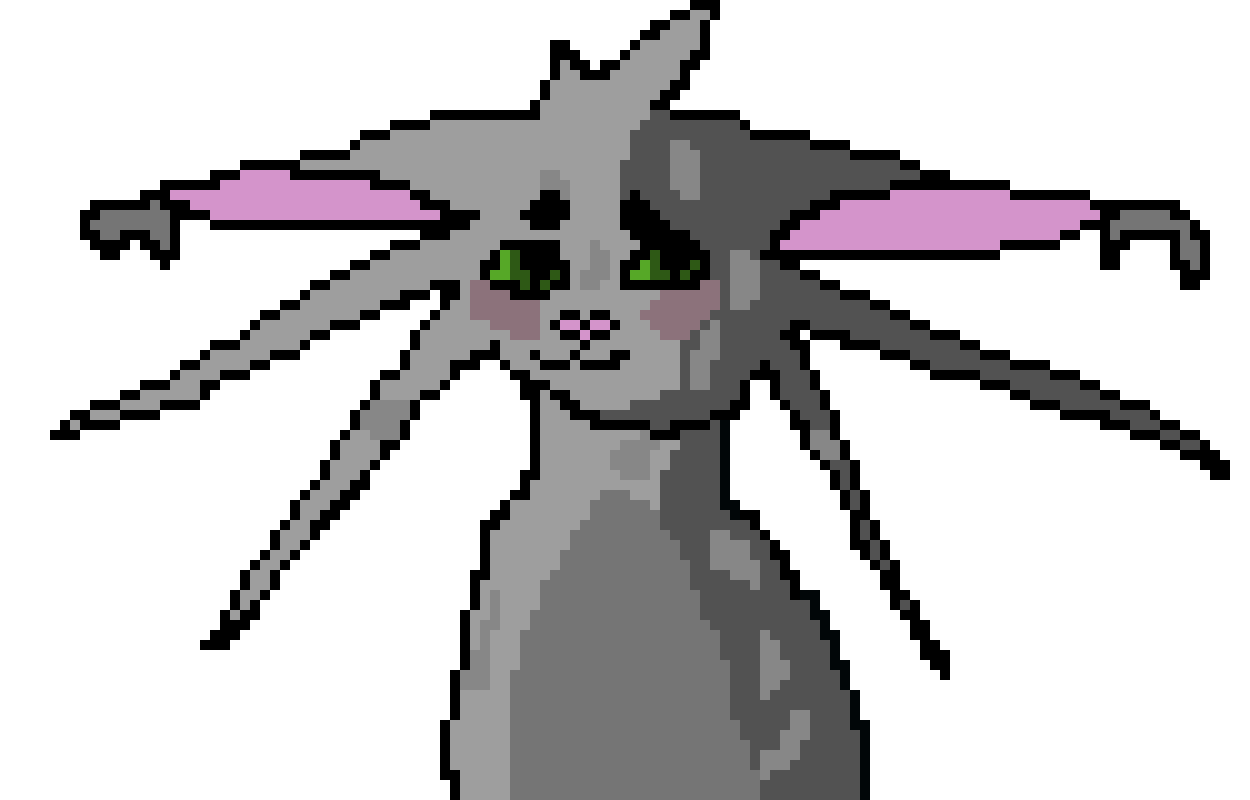 Rat the Cat