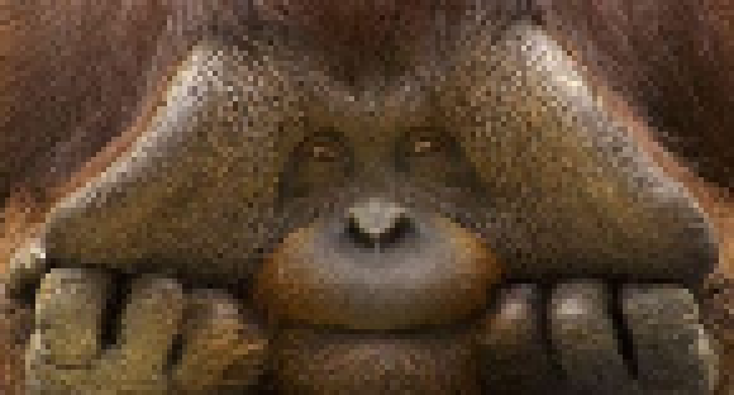 [07a0f0] Monkey