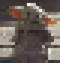 [df0182] Baby Yoda took over
